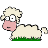 freaky sheep