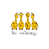 lustige giraffen
