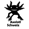 Axolotl Kinder T-Shirt