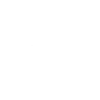 Levier de vitesse