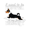 basenjinormal