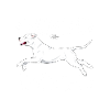 argentinogood