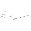Wakeboarder WHITE/black
