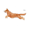 acddiamonds2