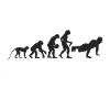 Evolution Fitness