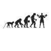 Evolution Fitness