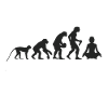 Evolution Yoga