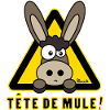 Âne, Tête de mule, tetu