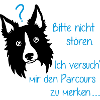 im Agi-Parcours...