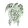 tortue