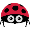Ladybird (ladybug) 02.1