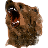 Bär