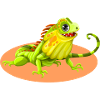 iguana