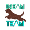 lagottodreamteam