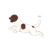 lagottodiamonds4