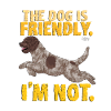 lagottofriendly