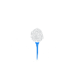 Tee Shirt Golf