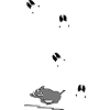 Wildschwein mit Spuren