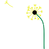 Dandelion,Dandelion,Buttercup, ✔
