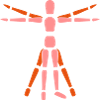 Dummys Gliederpuppen 2