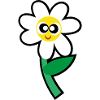 Flower / Blume