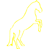 Rising horse