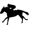 Horse BLACK / white