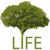 Arbre et Vie – Silhouette Verte