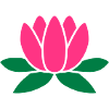 lotus flower