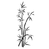 bamboo
