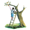 Apfelbaum