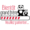 Bientôt grand frère