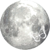 full moon butterfly