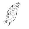 High five grafic