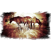 Horses