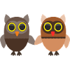 owls in love