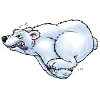 Eisbär