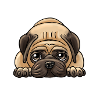 Mops