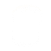Shark White