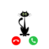 Cat is Calling