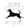 dobermanfriendly2