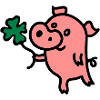 Pig clover 3