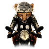 Fox Biker