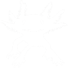 AXOLOTL
