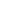 RAVEN No. 04