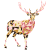 cerf