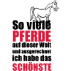 Das schönste Pferd