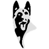 Malinois Protokoll