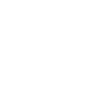 Schildmaid Spiegelbild