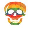 Coloured skull